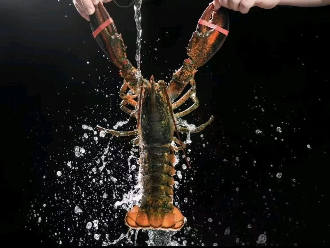 揭阳海鲜